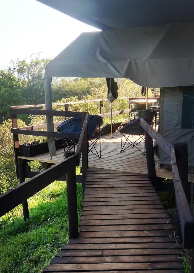 גרסקופ Chosen Glamping Tents מראה חיצוני תמונה