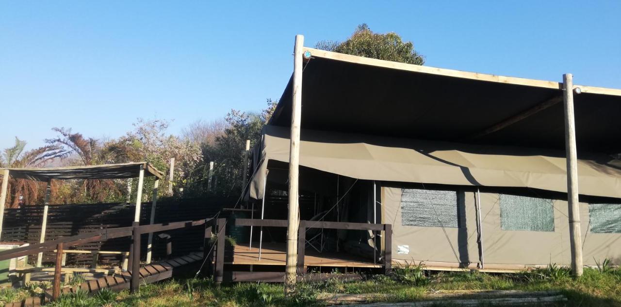 גרסקופ Chosen Glamping Tents מראה חיצוני תמונה