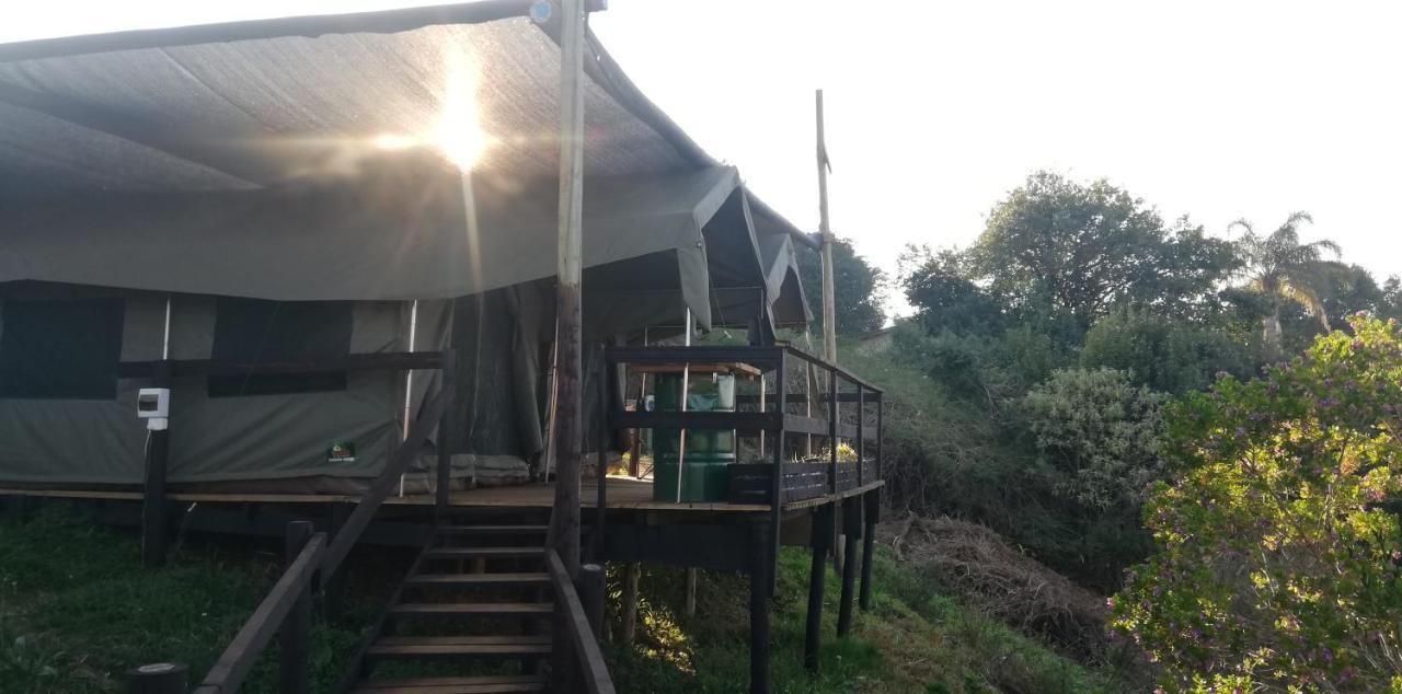 גרסקופ Chosen Glamping Tents מראה חיצוני תמונה