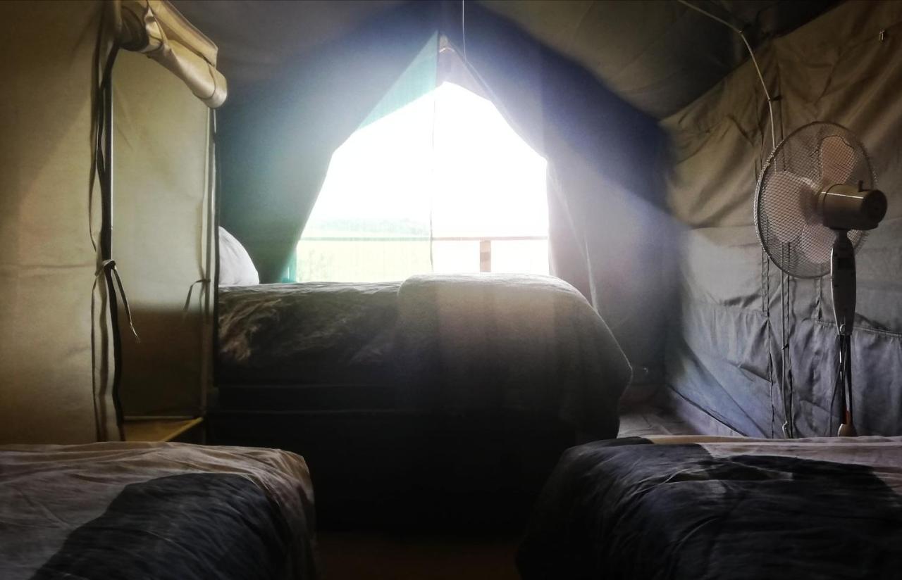 גרסקופ Chosen Glamping Tents מראה חיצוני תמונה