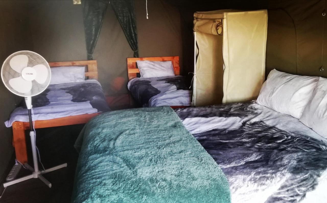 גרסקופ Chosen Glamping Tents מראה חיצוני תמונה