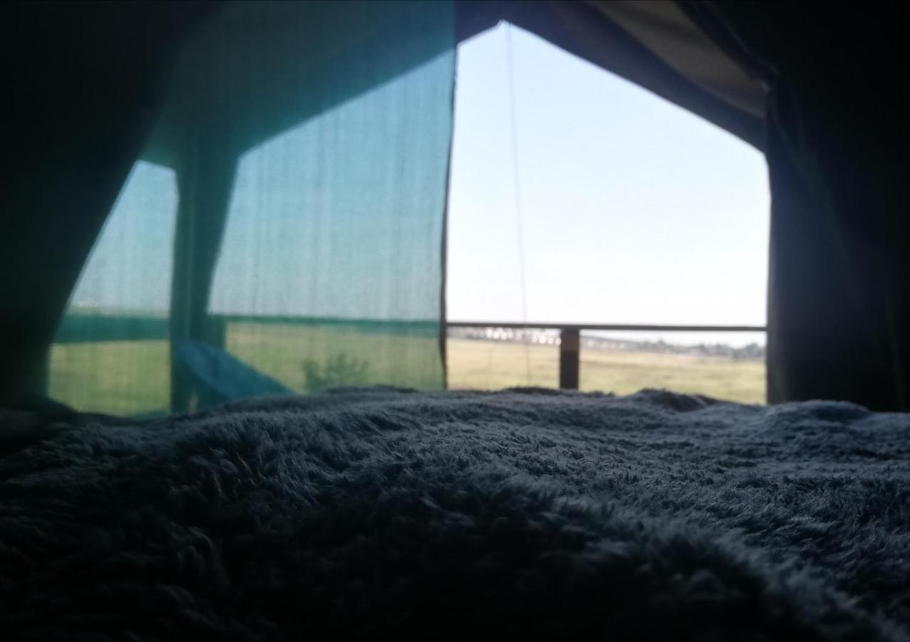 גרסקופ Chosen Glamping Tents מראה חיצוני תמונה