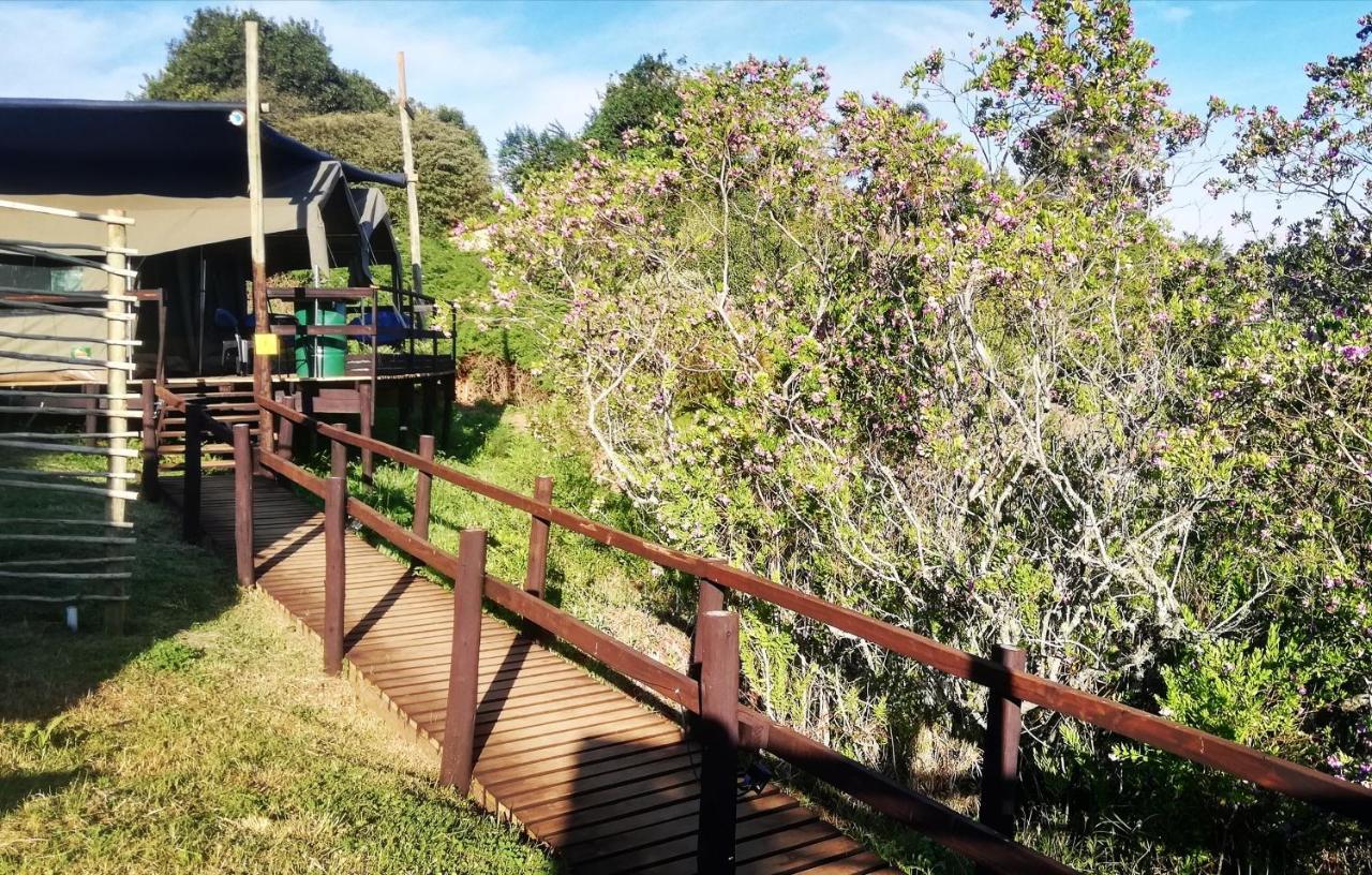גרסקופ Chosen Glamping Tents מראה חיצוני תמונה