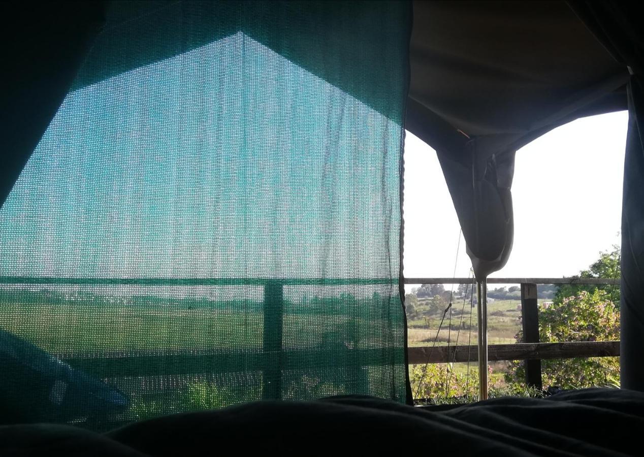 גרסקופ Chosen Glamping Tents מראה חיצוני תמונה