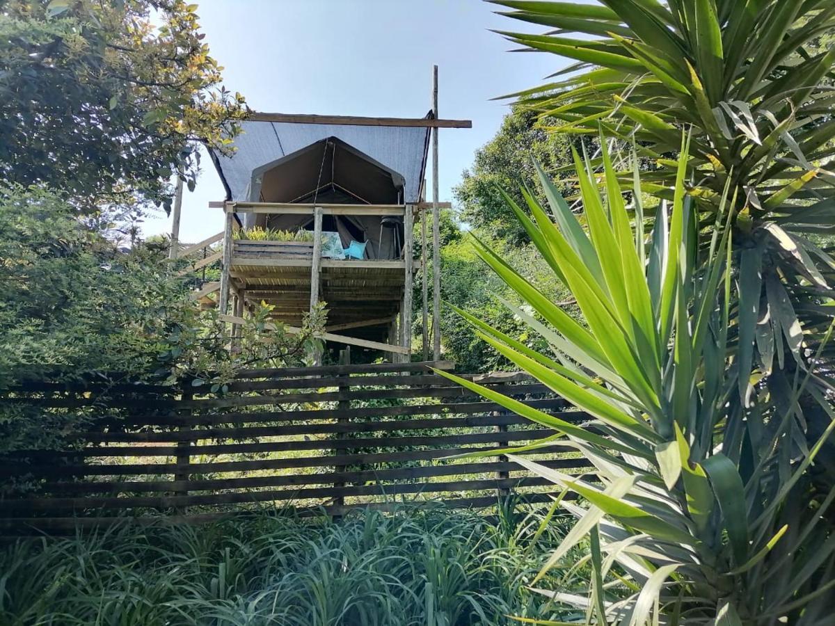 גרסקופ Chosen Glamping Tents מראה חיצוני תמונה