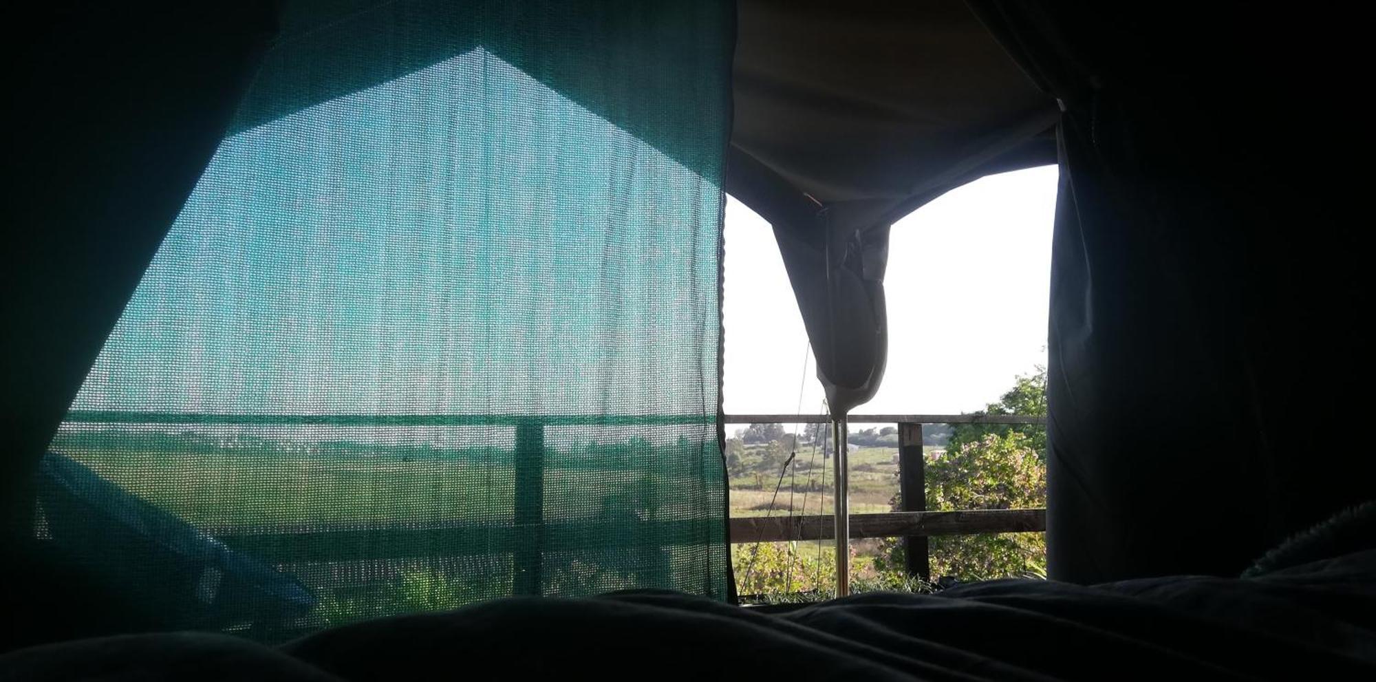 גרסקופ Chosen Glamping Tents מראה חיצוני תמונה